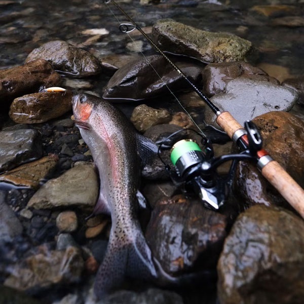 CARDIFF リフレイン 50HS